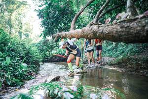 BIB: 
                            <button type="button" onclick="openModal(25435289)" class="btn btn-primary btn-sm float-right btn-popup" data-toggle="modal" data-target=".modal-high-quality">
                        <i class="fas fa-shopping-cart"></i> Add to Cart
                    </button>
                                            <button type="button" onclick="isThisMe(25435289, true)" class="btn btn-success btn-sm float-right btn-popup btn-isme hidden" data-toggle="tooltip" data-placement="bottom" title="นี่คือรูปของคุณใช่ไหม คลิกที่นี่เพื่อเอาเข้าอัลบั้ม">
                        <i class="fas fa-plus"></i> Add to album
                    </button>
                    <button type="button" onclick="isThisMe(25435289, false)" class="btn btn-warning btn-sm float-right btn-popup btn-isnotme hidden">
                        <i class="fas fa-ban"></i> Remove from album
                    </button>